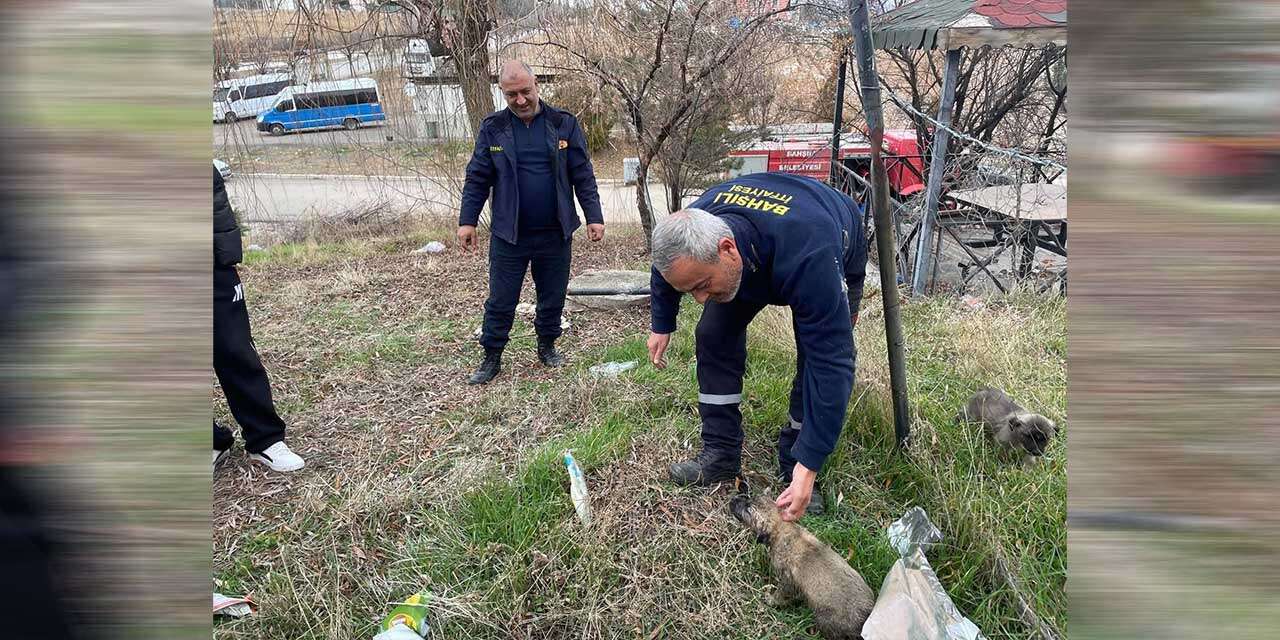 kopek-yavrusunu-itfaiye-ekipleri-kurtardi-2