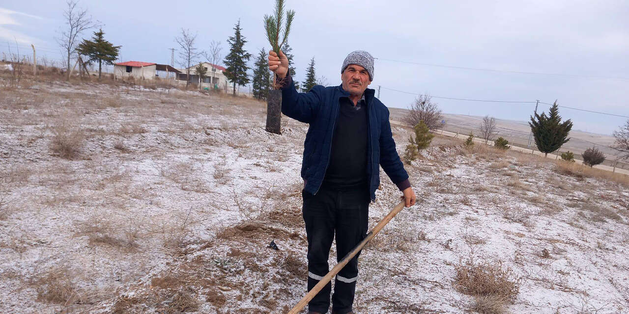 baliseyhte-mezarliklara-fidanlar-dikildi-2