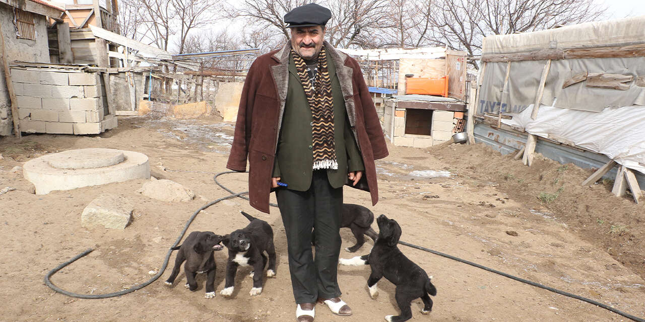 bekci-kopegi-olarak-tercih-ediyor3