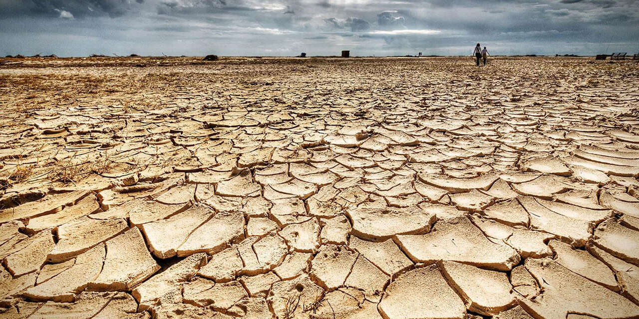 tarim-mudurlugunden-dikkat-ceken-mesaj2