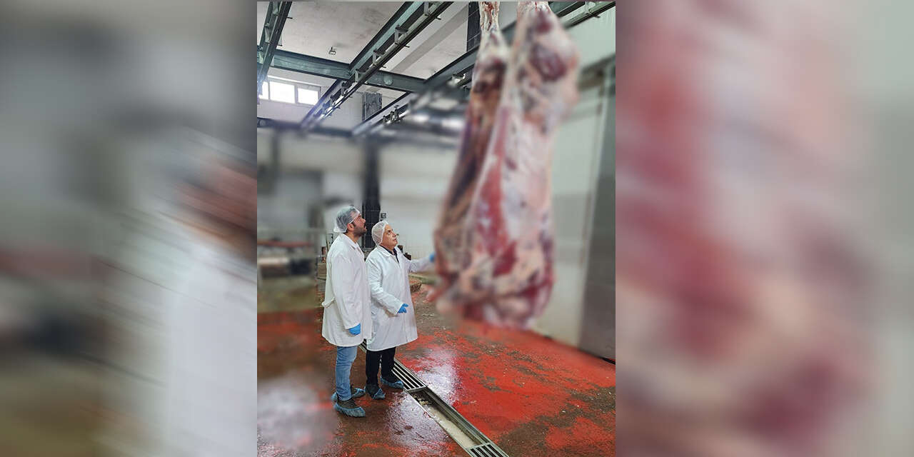 kesimhanelerde-standart-ve-seffaflik-icin-egitim-2