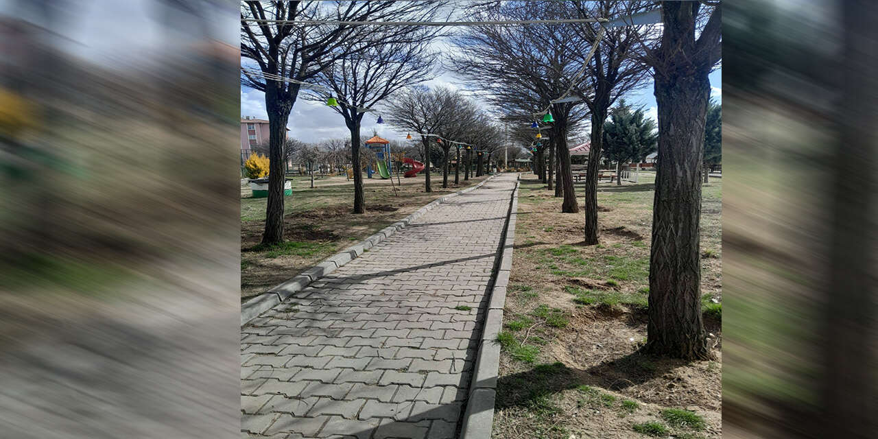 baliseyhin-her-bolgesi-yenileniyor-3