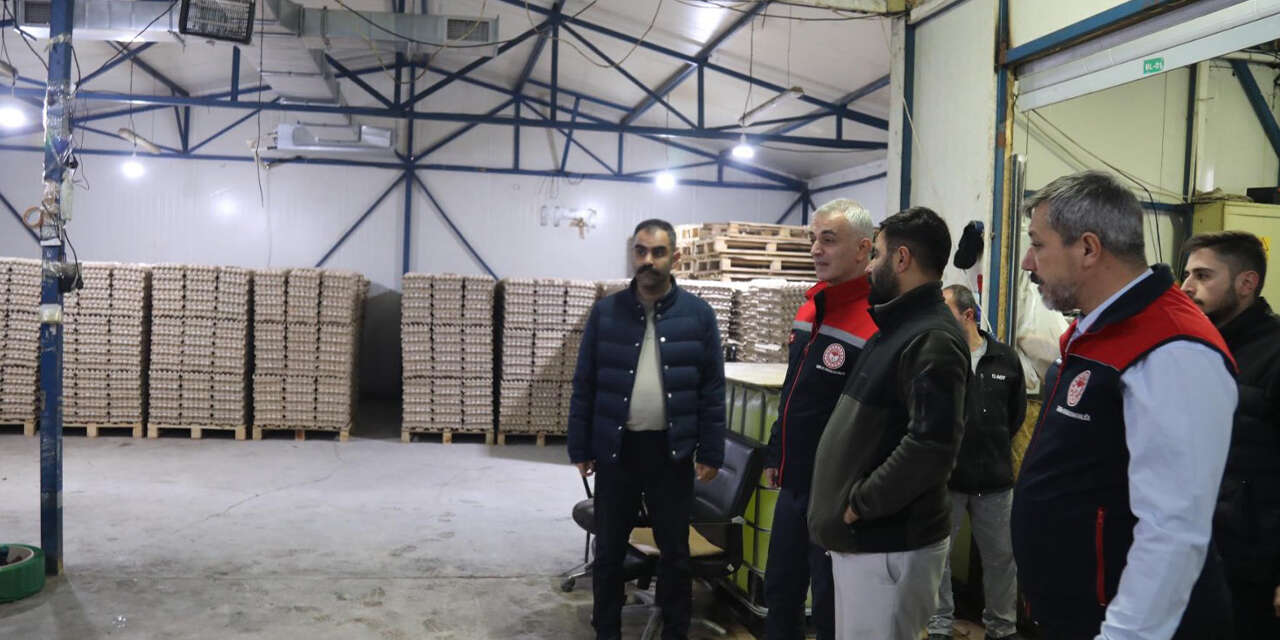 baliseyhte-bu-isletme-gunluk-binlerce-yumurta-uretiyor-2