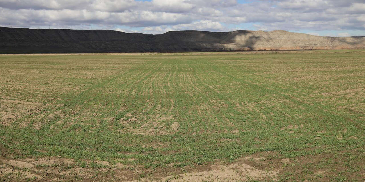 karakecilide-5-yillik-mera-islah-projesi-yakindan-takip-ediliyor-2