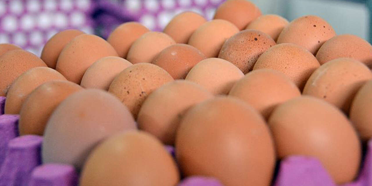 yumurta-satislarinda-yeni-duzenleme-2