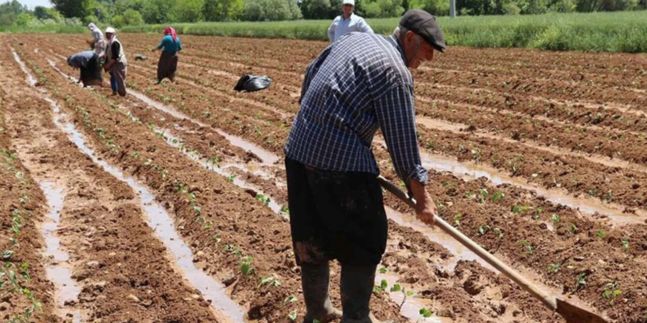 mevsimlik-tarim-iscilerinin-ucretleri-artti-2