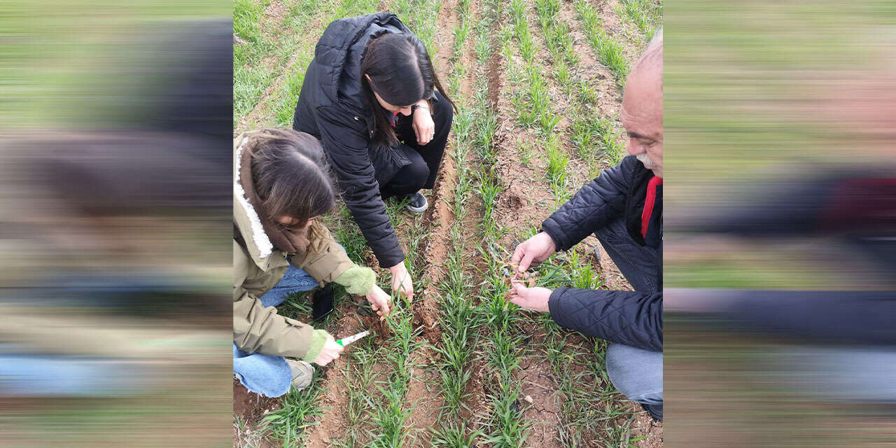 tarim-arazilerinin-uretim-durumuna-siki-takip2