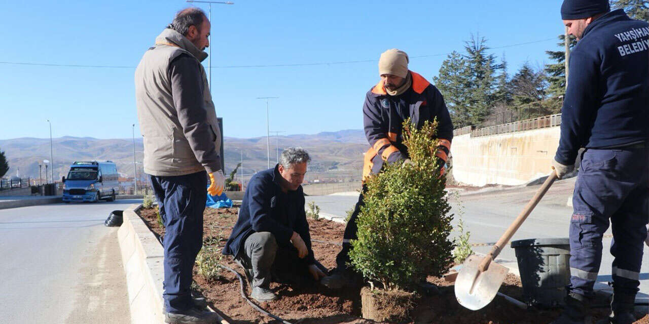 yahsihanda-cumhuriyet-caddesi-yesile-kavusuyor-2