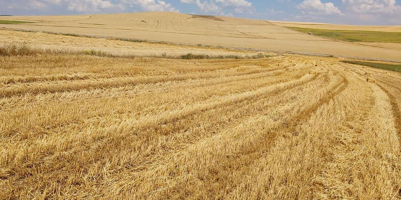 amonyum-nitrat-gubresinin-kullanimina-gecici-duzenleme2