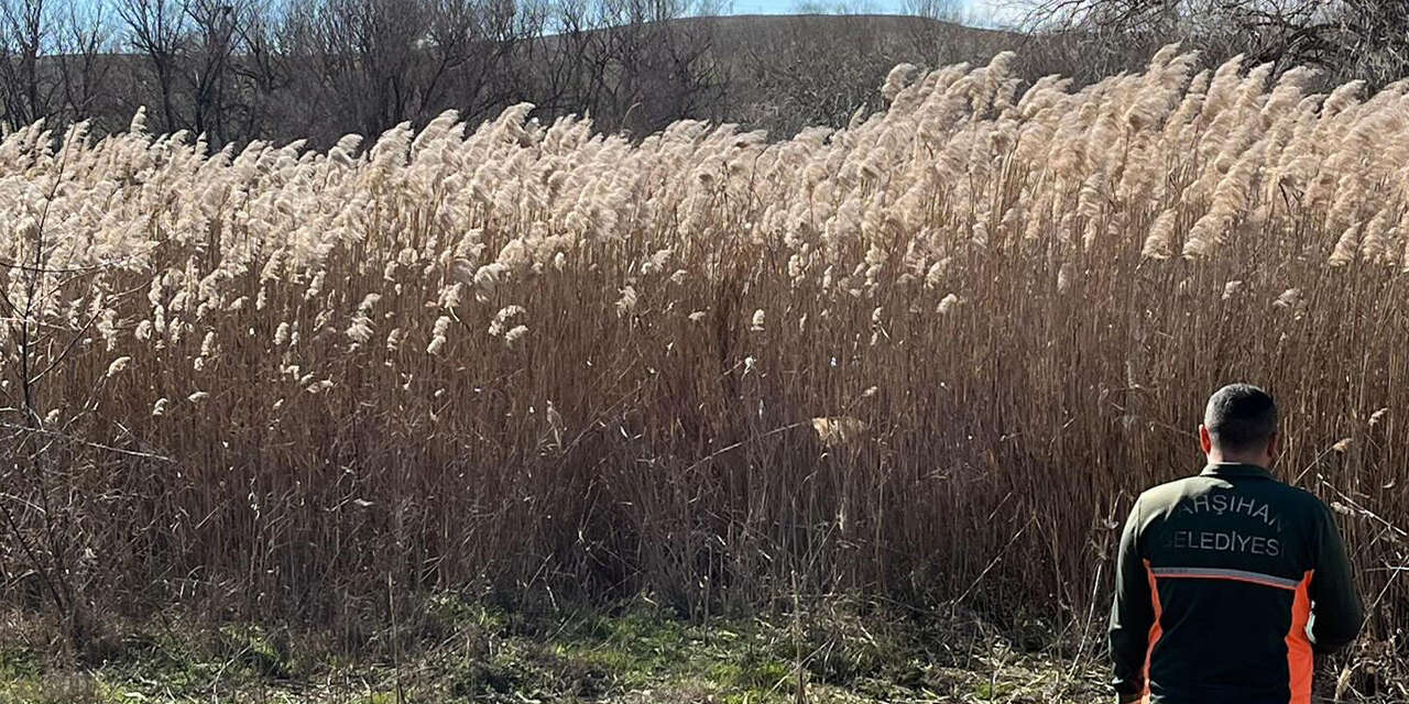 yahsihanda-kizilirmak-kiyisinda-larva-mucadelesi2