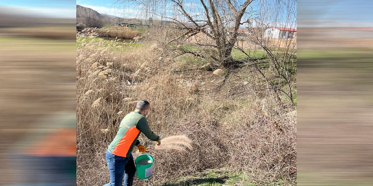 yahsihanda-kizilirmak-kiyisinda-larva-mucadelesi3