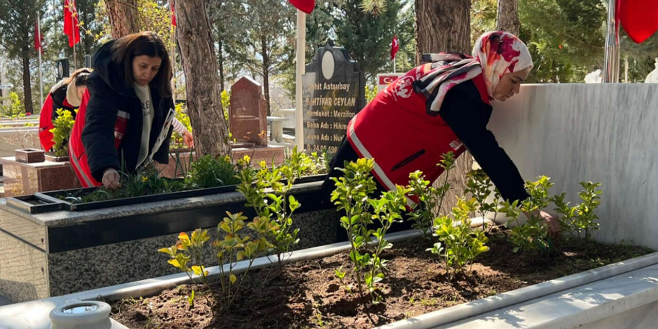 karanfil-biraktilar-2