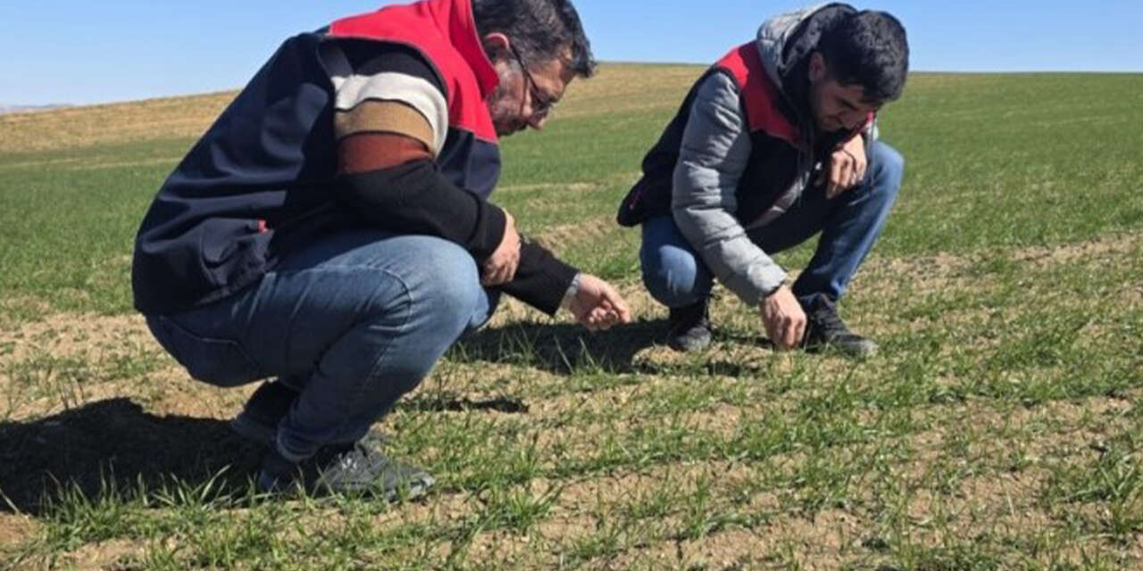 kirikkalede-tarimsal-uretim-sahada-denetleniyor-2