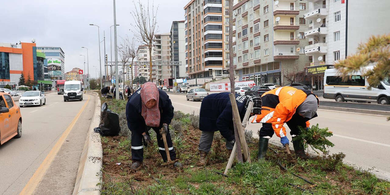 alparslan-turkes-bulvarinda-yogun-peyzaj-mesaisi2