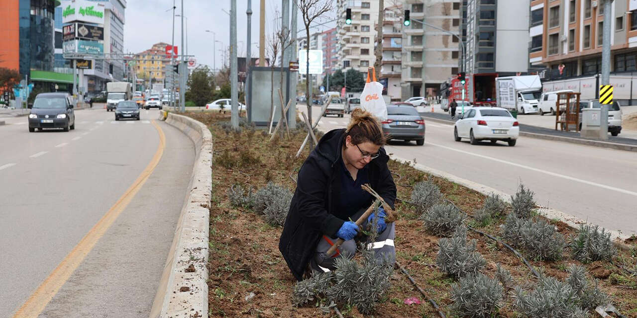 alparslan-turkes-bulvarinda-yogun-peyzaj-mesaisi3