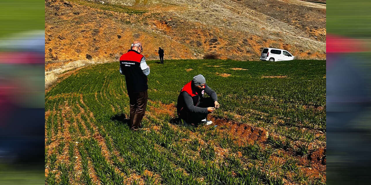 bahsilida-tarlalarda-kirmizi-alarm13