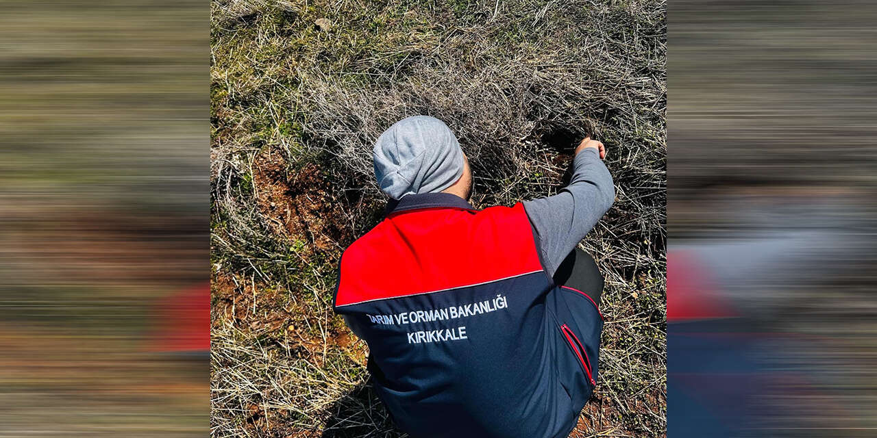 bahsilida-tarlalarda-kirmizi-alarm14