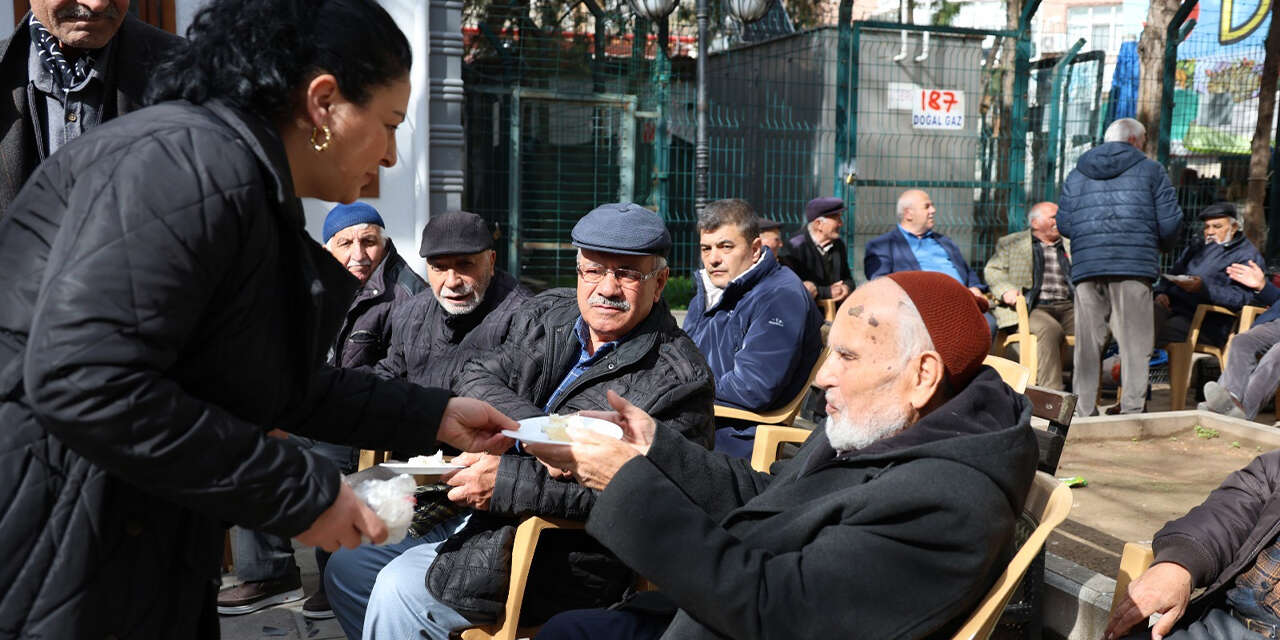 emekliler-parkinda-koca-cinarlara-vefa2