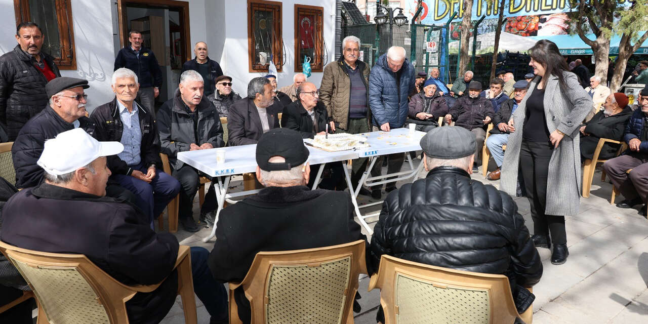 emekliler-parkinda-koca-cinarlara-vefa3