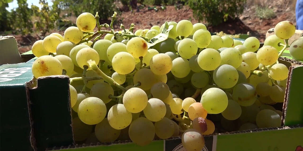 bozkirin-damaklarda-unutulmayan-lezzetleri-2