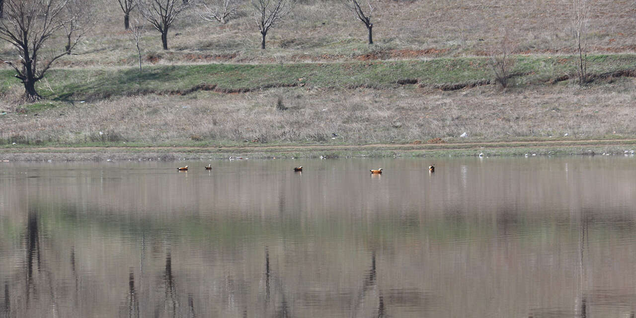 kizilca-goleti-yeniden-doldu2