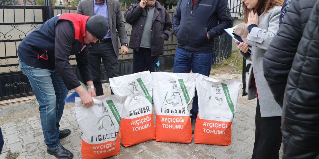 celebide-ureticilere-yaglik-aycicegi-tohumu-destegi3