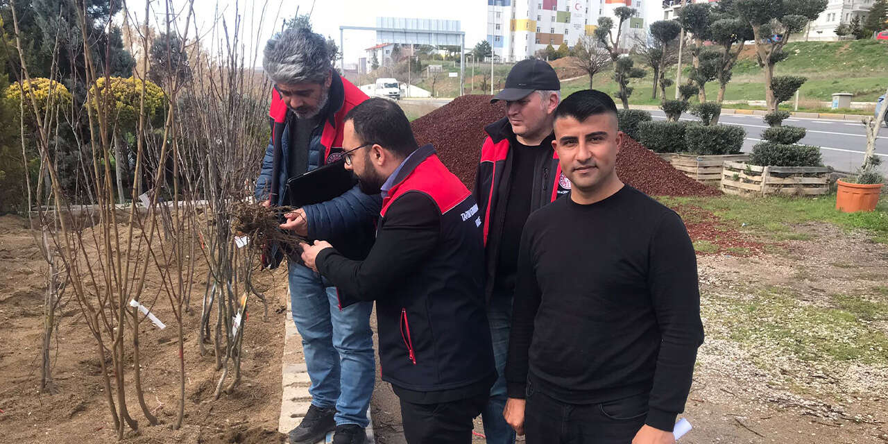 fidanlik-ve-satis-bayilerine-siki-denetim3