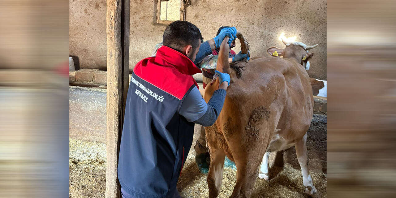 kirikkalede-kirmizi-alarm-verildi-tek-tek-asilaniyor-2