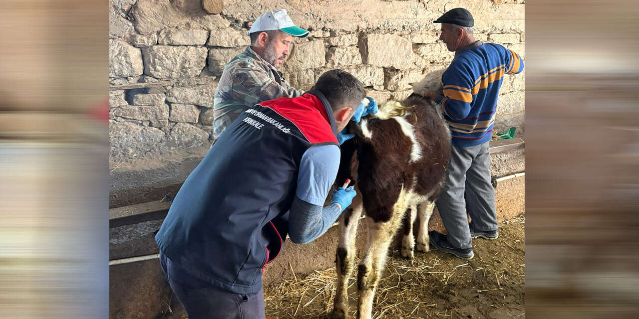 kirikkalede-kirmizi-alarm-verildi-tek-tek-asilaniyor-3