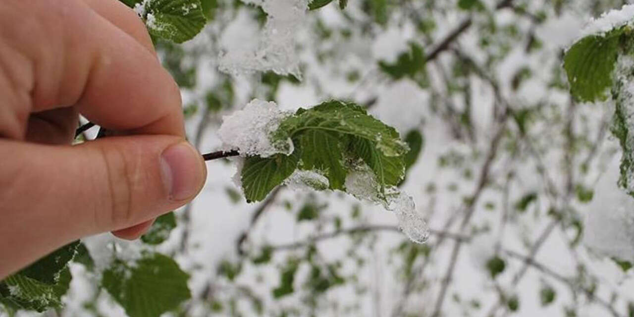 kirikkalede-ciftcilere-onemli-uyari-onlemlerinizi-alin-2