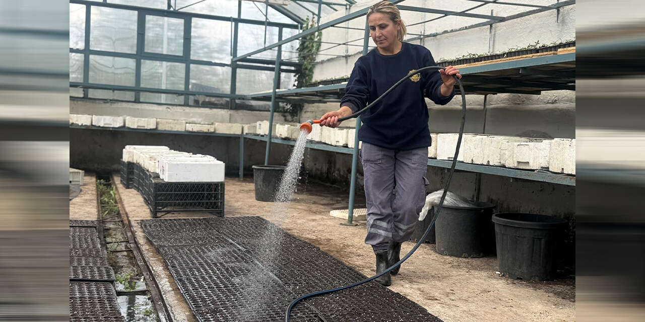 kirikkalede-400-bin-fide-ucretsiz-dagitilacak2