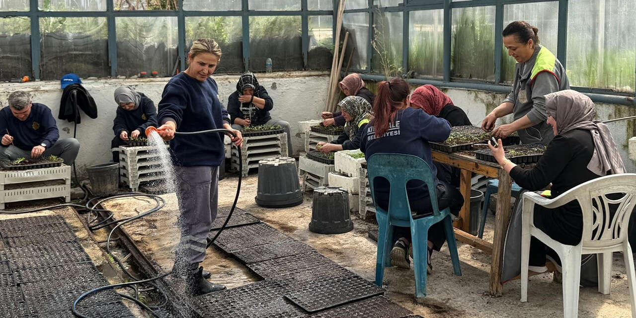 kirikkalede-400-bin-fide-ucretsiz-dagitilacak3