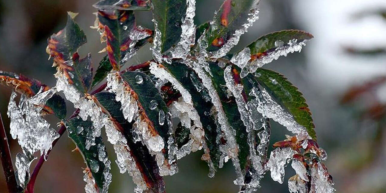 kirikkalede-ciftciler-dikkat-hemen-onleminizi-alin-2