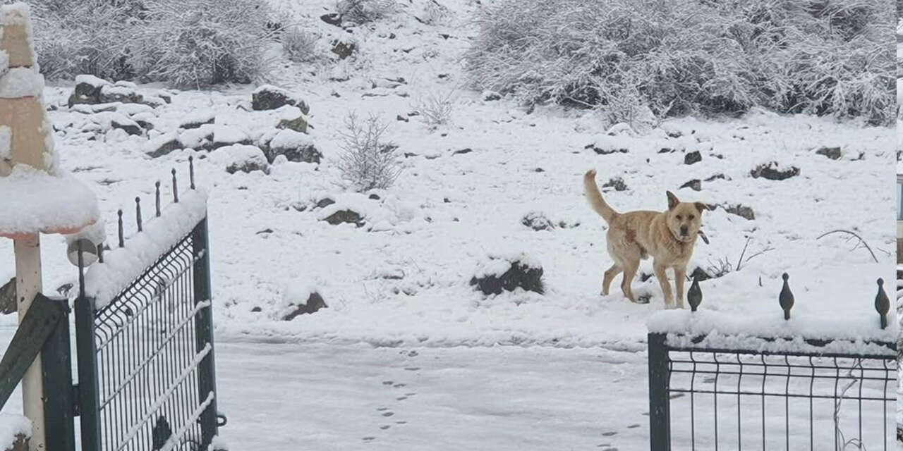 nisan-ayinda-kar-yagdi-vatandas-saskinligini-gizleyemedi3