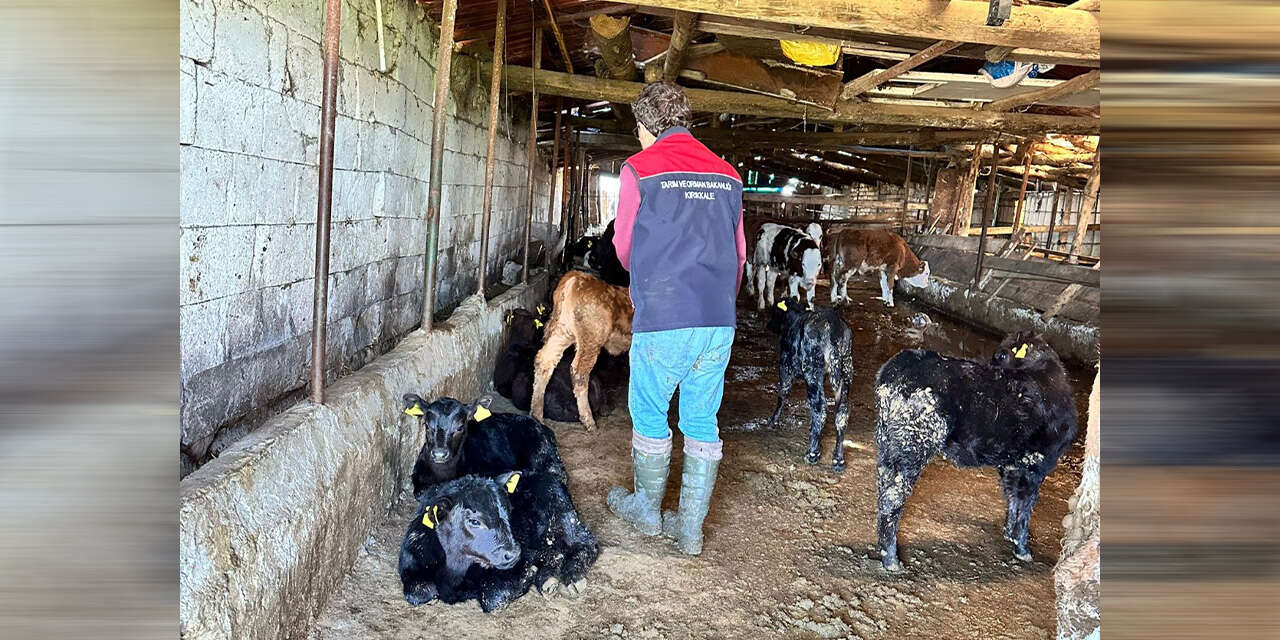 tarim-projeleri-kirikkalede-sonuc-veriyor2