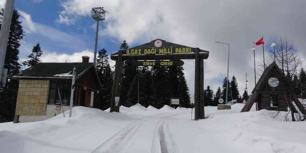 kastamonu-ve-cankiri-sinirlarinda-bulunan-ilgaz-dagi-milli-parki-nisan-ayinda-etkili-olan-kar-yagisi-sonrasinda-beyaz-ortuyle-kaplandi
