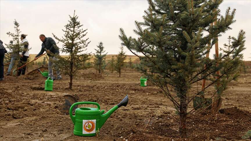 yoruk-turkmenleri-gelecek-icin-fidan-dikecek