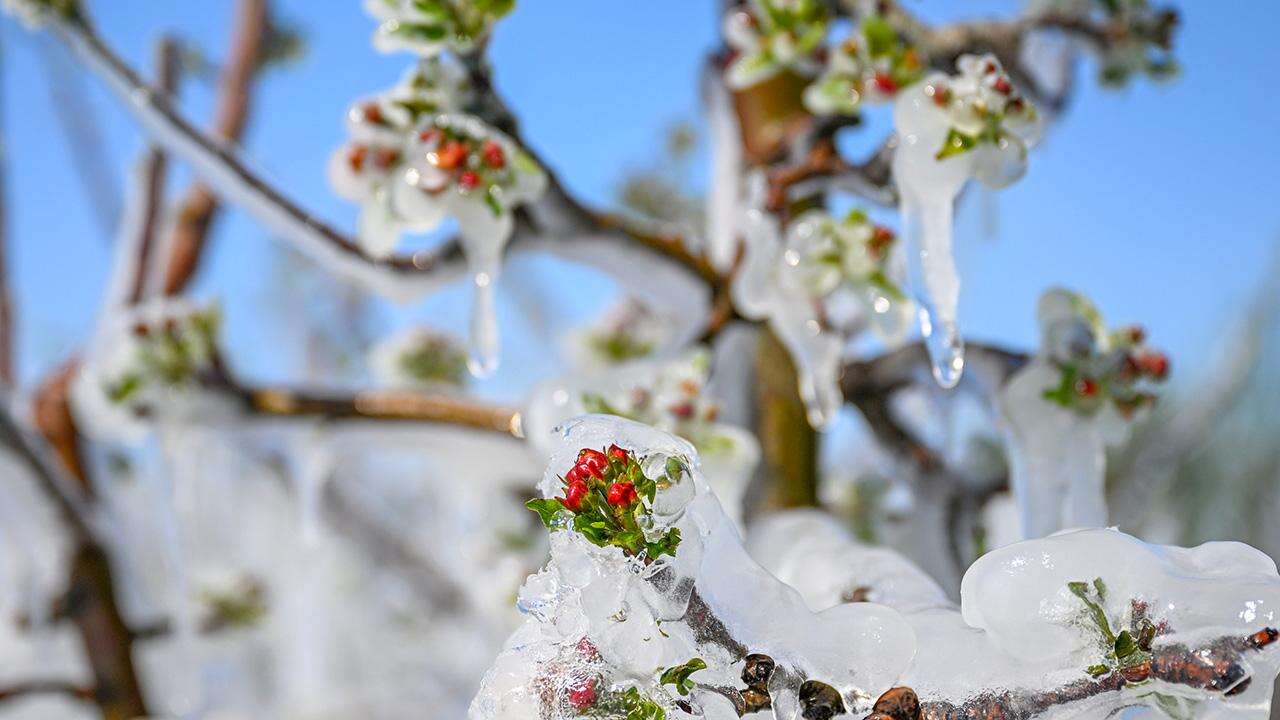 zirai-dona-karsi-ureticilere-kritik-cagri