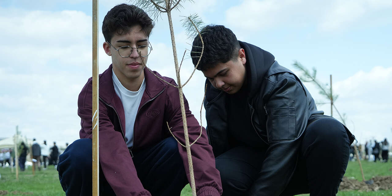 kirikkalede-binlerce-fidan-toprakla-bulustu