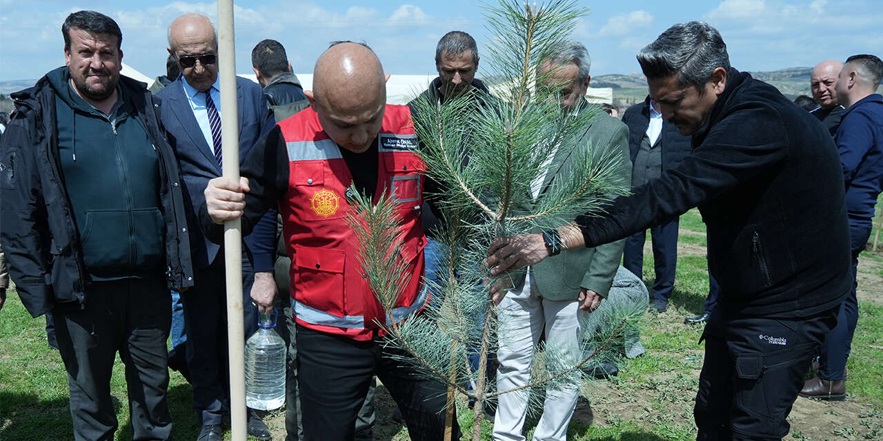 kirikkalede-binlerce-fidan-toprakla-bulustu