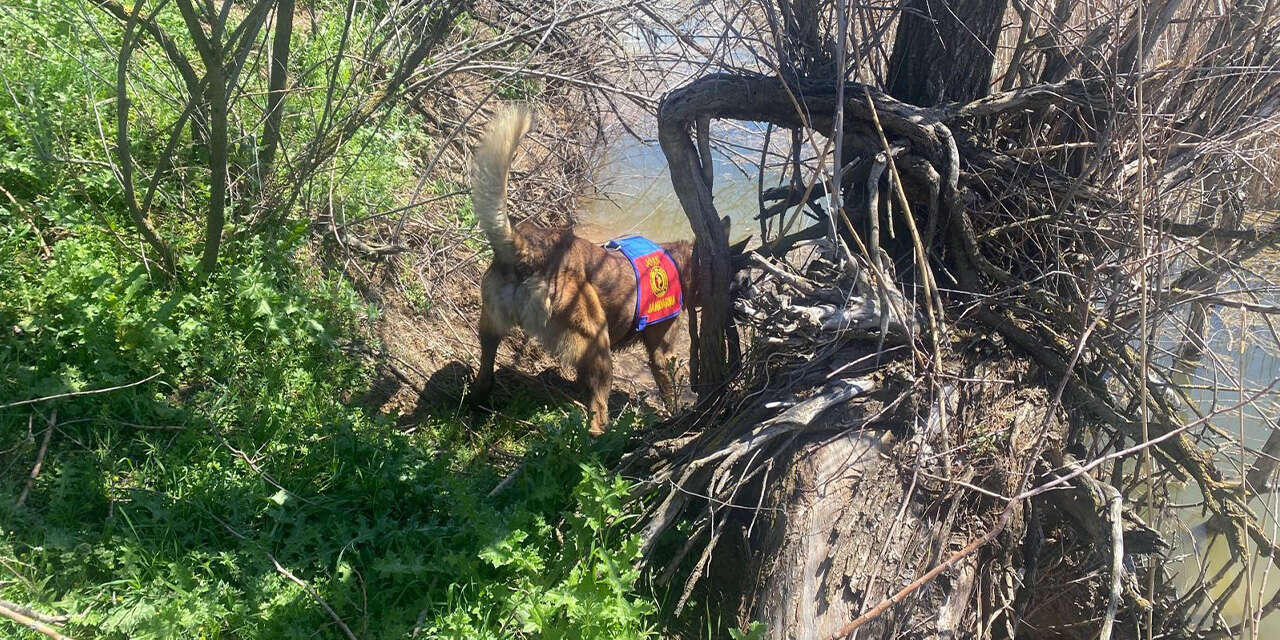 kesikkoprude-sir-gibi-kayip-tam-6-gundur-iz-yok2