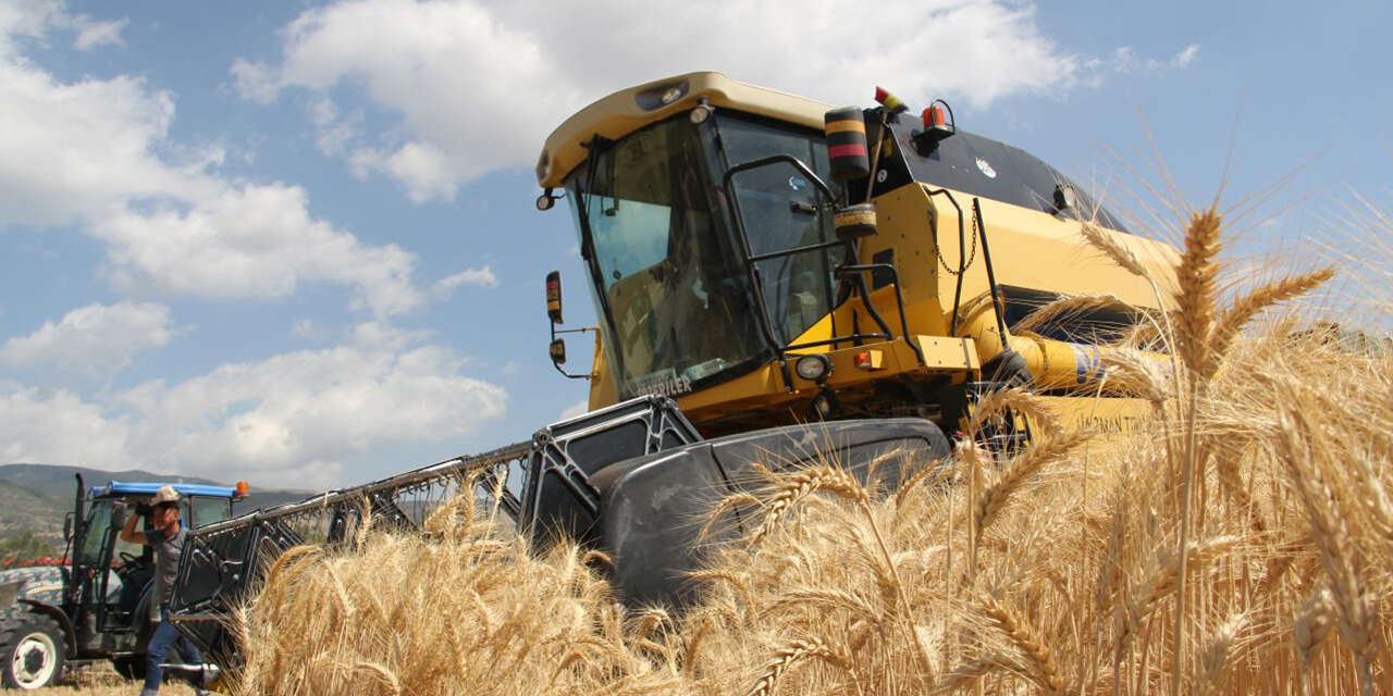 yagislar-ciftciye-umut-oldu-bereketli-bir-sezon-bekliyor2