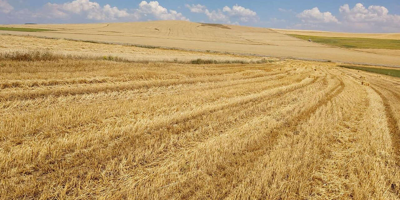 yagislar-ciftciye-umut-oldu-bereketli-bir-sezon-bekliyor3