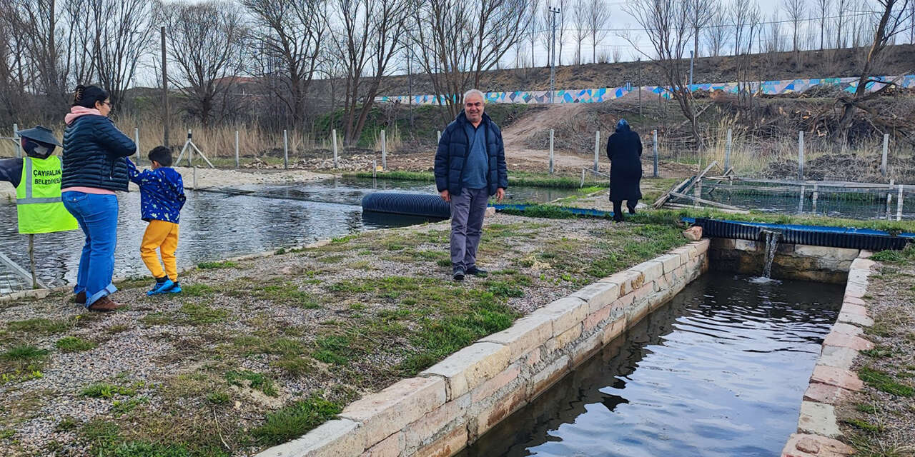 kaynak-suyunda-yetisiyor-vatandas-taze-taze-alip-gidiyor-2