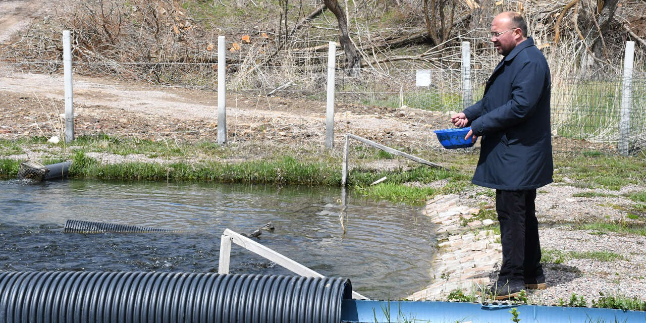 kaynak-suyunda-yetisiyor-vatandas-taze-taze-alip-gidiyor-3