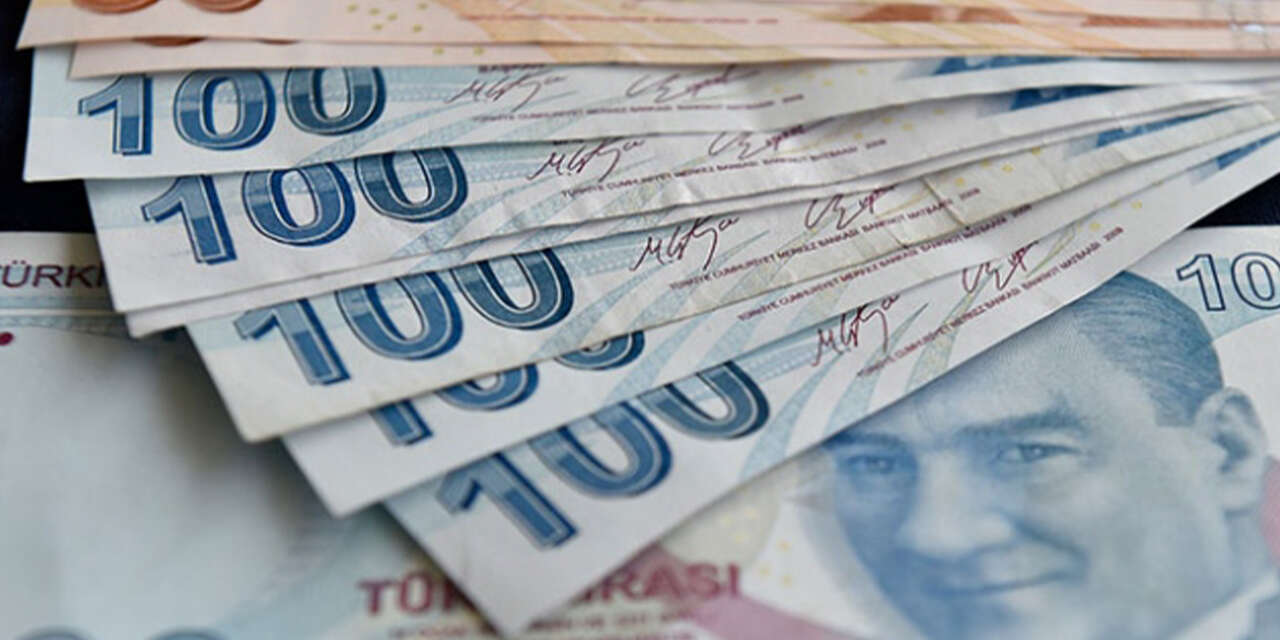 cuzdaninizdaki-o-para-milyonlarca-lira-kazandirabilir2