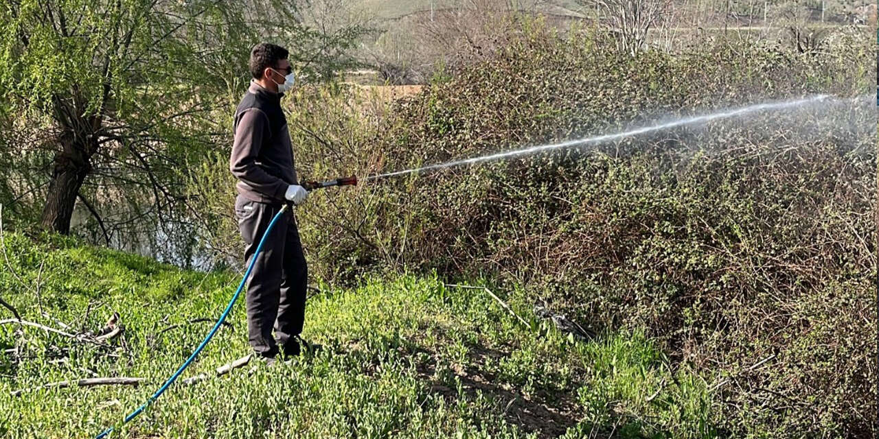 yahsihanda-sazlik-alanlarda-ilaclama-calismalari-suruyor2