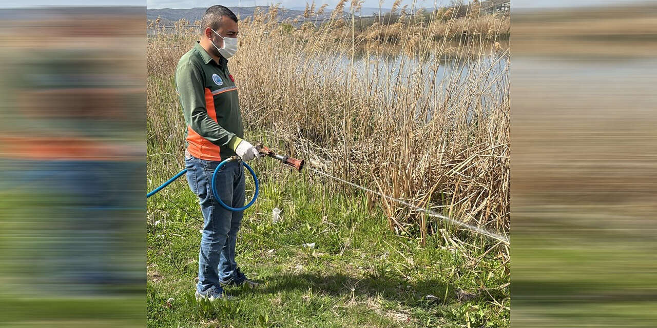 yahsihanda-sazlik-alanlarda-ilaclama-calismalari-suruyor3