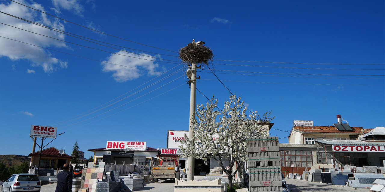 esnaf-merakla-bekliyordu-ruzgar-ve-nergis-yuvaya-dondu-3