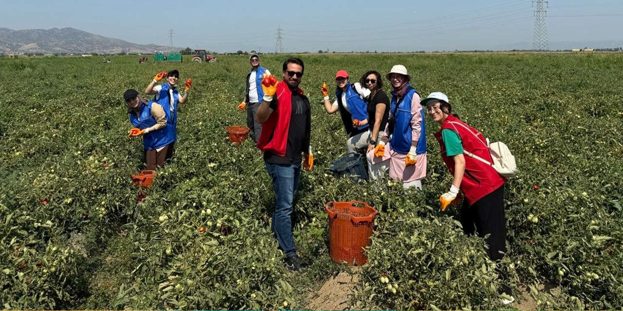 haydi-gencler-kirikkalede-hasat-vakti-2